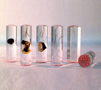 ��ʥ�۾þá�̥ë��