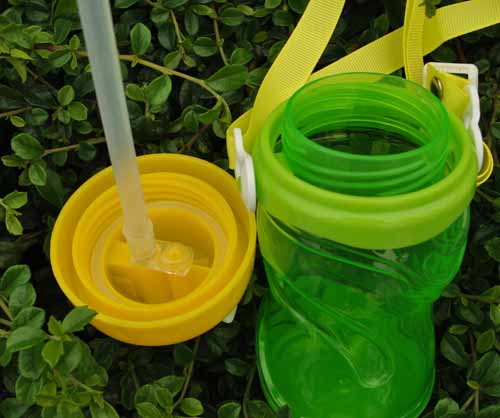 ��ɫ���޾Gɫ�W(xu��)�