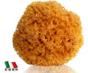 ��ɭ�Ơ���ע����Ȼ���d�a(ch��n)Ʒ���^(gu��)һ��(g��)���o(j��)