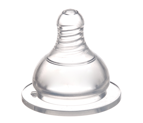 �ѐی��ڏ�ĸ�錍������S̖