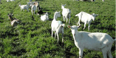 ����������Դ����������������������