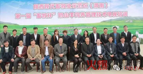 �׌á�����������ɽ����B(y��ng)�������g(sh��)�ҕ��Ӗ����A�M��Ļ