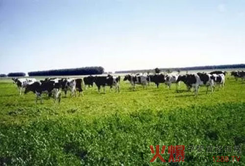 �����С���R���Կ������J(r��n)�O(ji��n)ί���x����������ЙC(j��)ʳƷ��(bi��o)��(zh��n)��