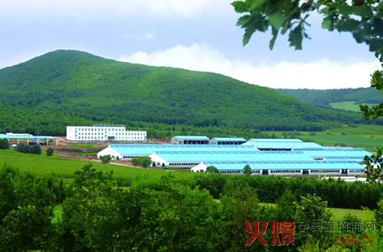 �l(f��)չ��(sh��)�w��(j��ng)��(j��)�����_(d��)ɽ���Є�(d��ng)��