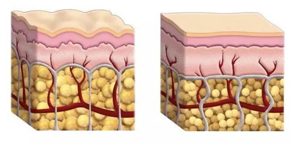 202312722372813140.jpg 202312722372813140.jpg