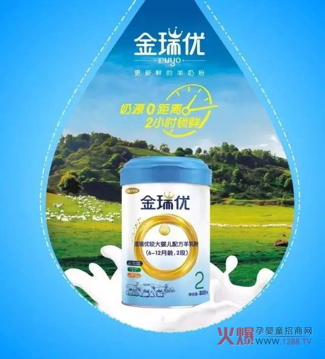 ���̷�+OPO�����ж����