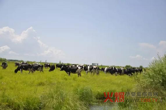 ���_(d��)ɽ�̷۞�Ε�(hu��)�ܵ��@ô���˵�ϲ����