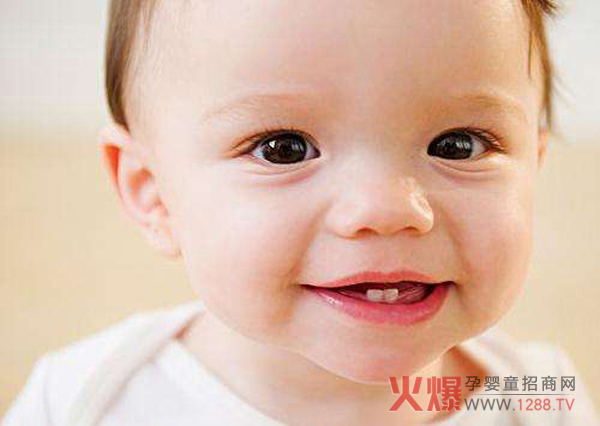 ���냞(y��u)���׃����z ���������r�ڱ؂�