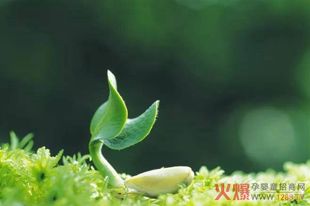 �L(zh��ng)���c�����ߡ��p���� �@��(g��)����ؐ��(l��)�߽o�҂��µ��x��