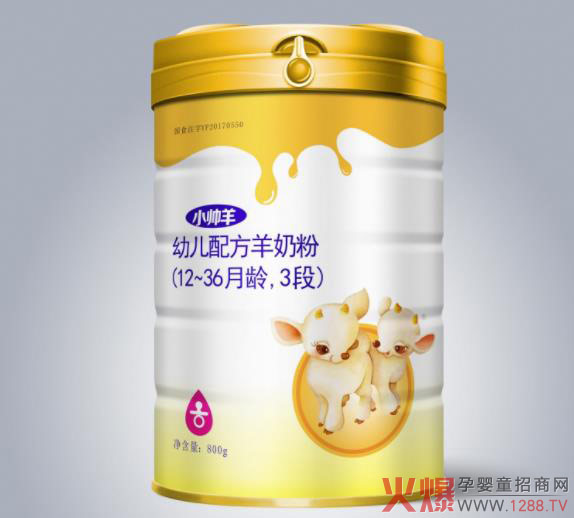 С�������̷� �\(ch��ng)��ȫ��(gu��)��(j��ng)�N����