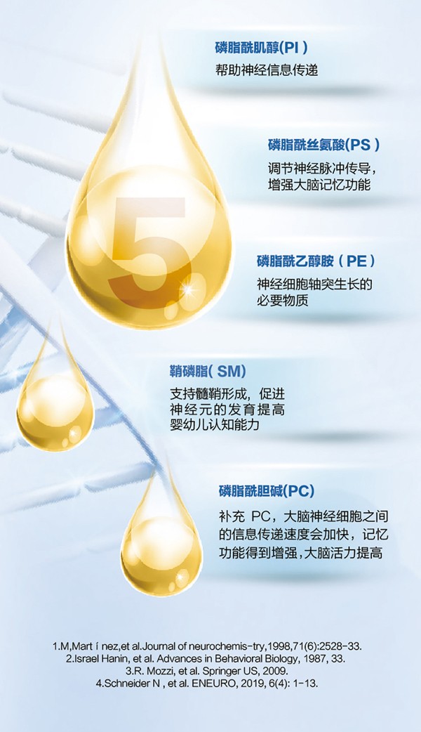   ؐ������Խ�׃��䷽�̷�(12-36���g��3��)4