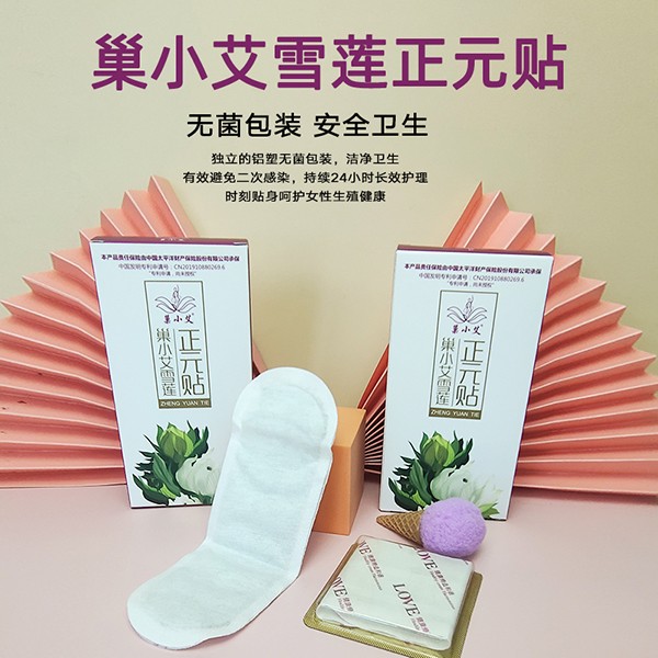 巢小艾雪蓮正元貼 24貼裝 (5).jpg