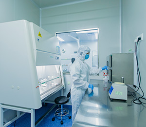  ��������S19