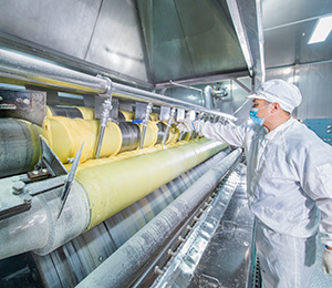  ��������S29