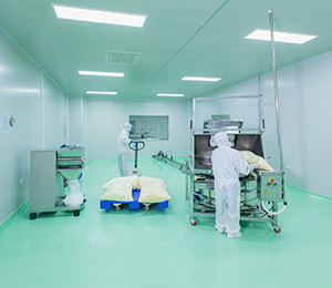  ��������S1