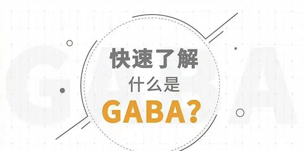 ��Ϣ���\��ǰ�z�루���L��GABA�������L���؁��ͷ��ڵķ���(y��ng)