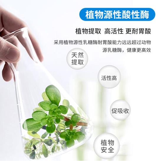 樂迪士酸性乳糖酶 (2).jpg