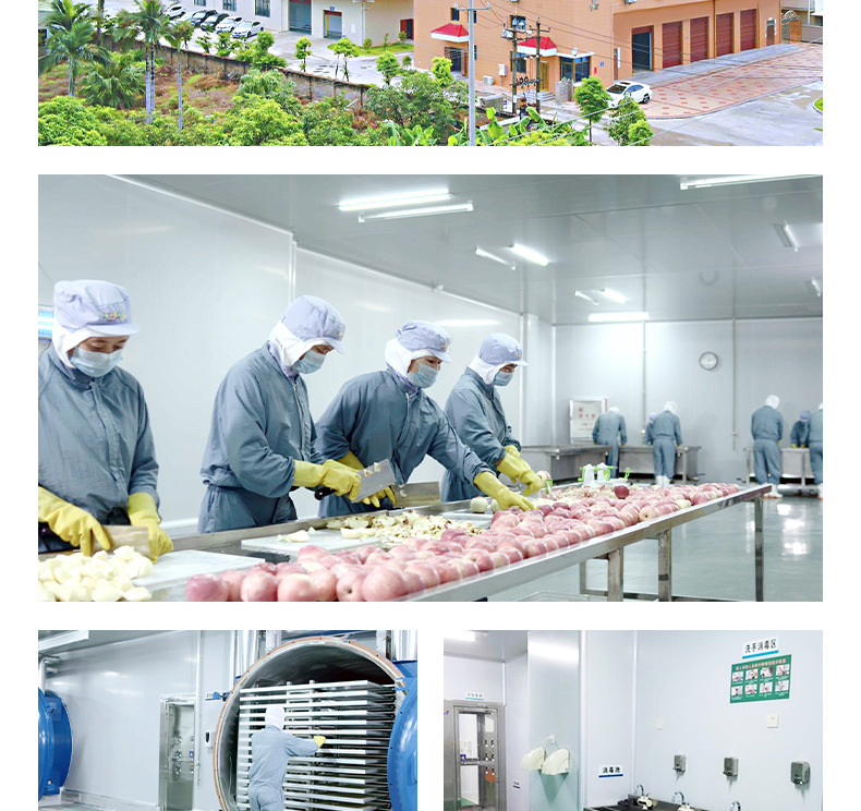 小魚造型餅干 (13).jpg