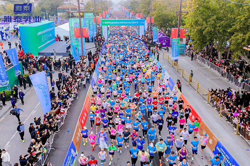 �f(w��n)�˹������������R����̩��I(y��)��2024���(y��ng)����(gu��)������R����ِ�A�M�ɹ���