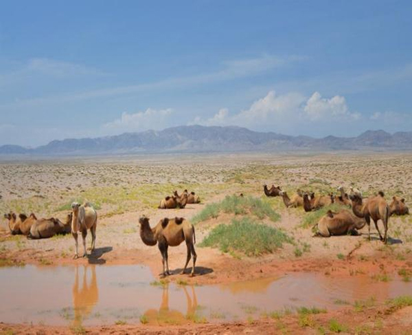 ���ƽz�ĸ�댣�������\�д���������ģʽ���´������oȫ�ҽ������\�����ļ�����