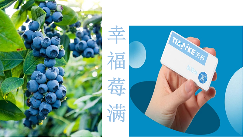 ��Ɵo(w��)����ڱ��� �{(l��n)ݮζ.png