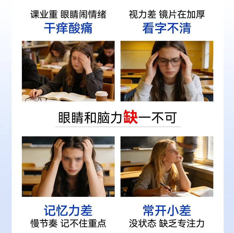 ʩؐ�����山С�W(xu��)���ذ�����02.png