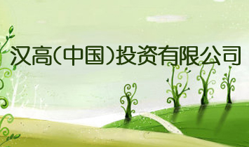 �h��(�Ї�(gu��))Ͷ�Y���޹�˾