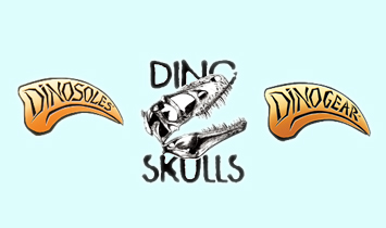 �B�T�����M(j��n)�������޹�˾