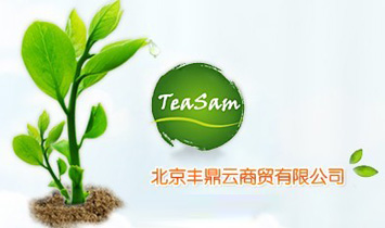 �����S�������Q���޹�˾