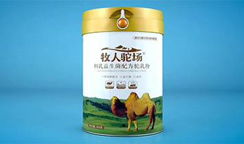 �������˷����﹤�����޹�˾��������(ch��ng)��