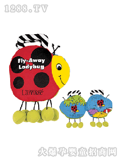 �����ɼ��x�w�w