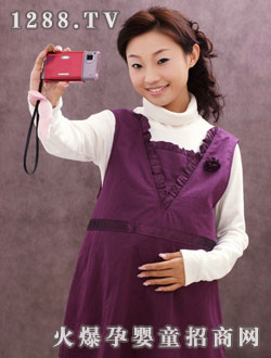 ����һ���p����Gemini(521--621)