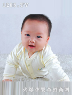 ��ľ�������𿹾�ϵ��