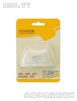 ���E�p�����b����