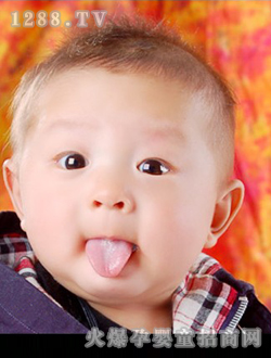 ���O����������С����Ƥ