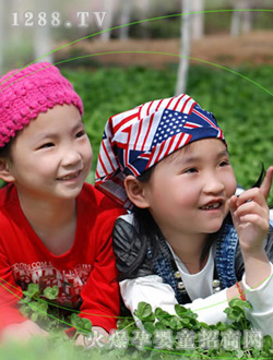 ����r���pϲ