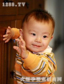 �������������Ƭ