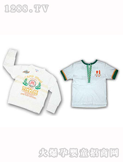 ����T��ɼ���