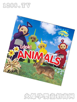 �쾀���������J(r��n)֪�D��