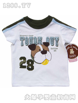 carters�����C��T��