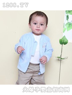 �����Ǽ�������