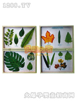 ؐֲ���(bi��o)���̾�