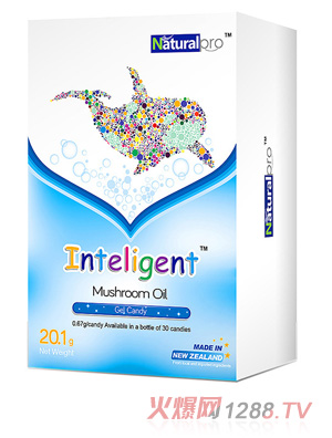 �Ģ�������z�ǹ�