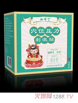 �Ӳ���Ѩλ�����̼��N ��Ƣθ����ʳ