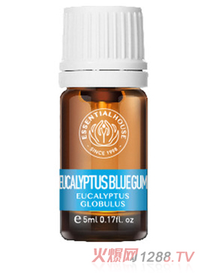 ��Ϫ���@ �{(l��n)�z�ȼ�������