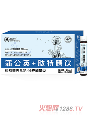 ��֮���ѹ�Ӣ+�������